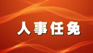 胡震强委任状